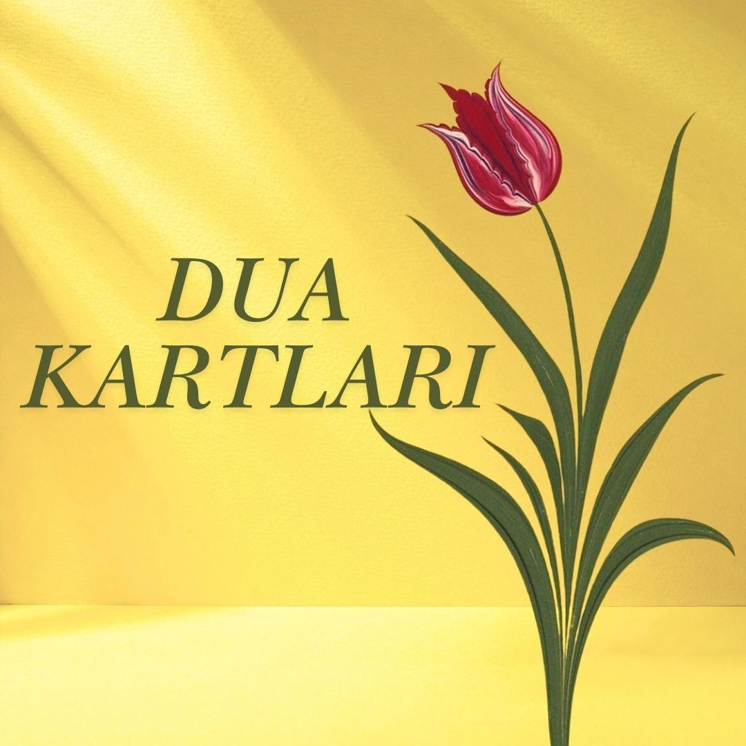 Dualar